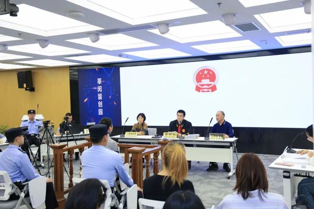 卖软件“破解包”“破解版”，是犯罪？｜巡回审判