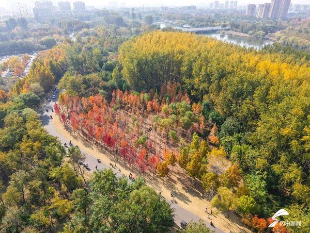 潍坊经济开发区：一场与色彩的浪漫邂逅