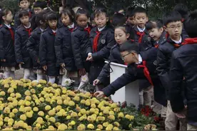 菊花在中医药中有何药用价值 一群小学生在植物园里寻找答案图片
