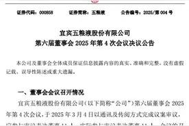 五粮液有大动作！2025年投资近26亿元布局19个项目图片