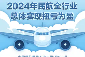（图表）2024年民航全行业总体实现扭亏为盈图片