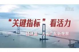 “关键指标”看活力——经济第一大省广东新观察图片