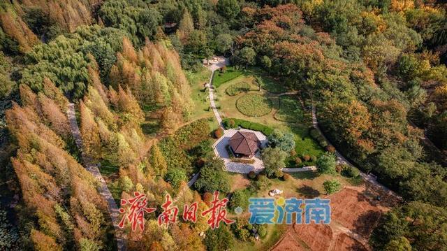 一年四季 泉在济南丨济南森林公园，秋日绘就斑斓盛景