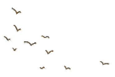 何处红叶醉人眼？何物最暖游子心？