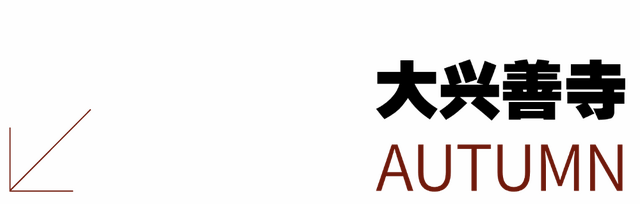 太美了！错过了等一年！
