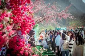 整个三月！云台山对全国大学生免门票！图片