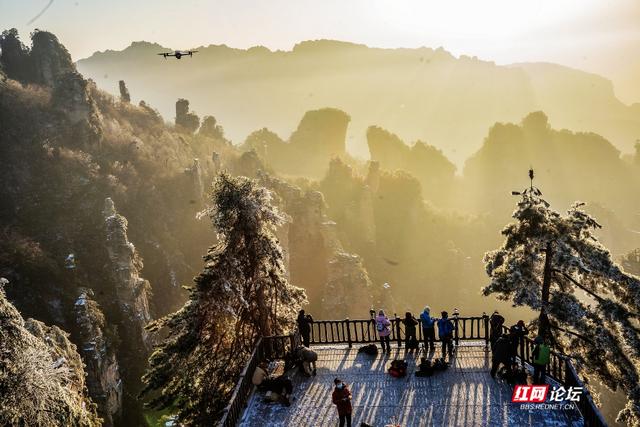 【每日一图@湖南】张家界的雪后云海，藏着湖南冬日的浪漫