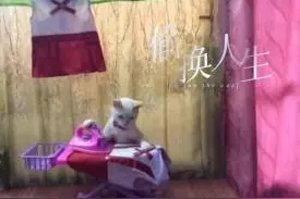 春节暖心事 | 新年战袍的“互换主人”——拿错的新衣图片