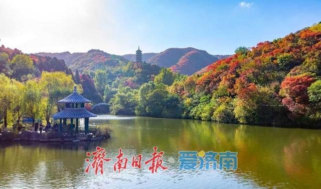 济南红叶谷第25届红叶节启幕！4000亩黄栌林演绎“三色秋韵”