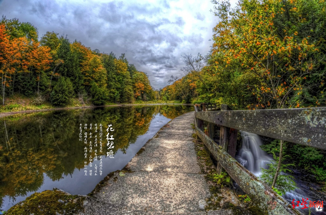 秋假怎么玩，亲子田园还是冰雪盛景？成都发布12条近郊旅游线路