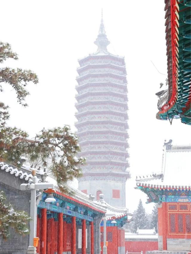 北京下雪了！雪景大片抢先看！外出注意防寒保暖