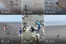 潮评丨流量裹挟下的“抢潮头鱼”，是把生命当儿戏图片