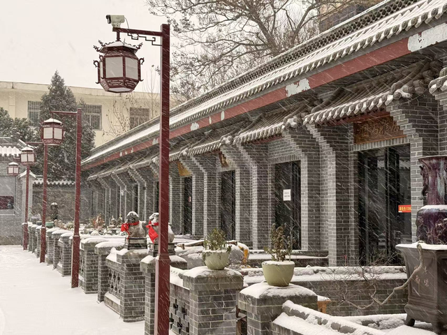 马踏春归·雅韵二七丨2026新春文旅精品线路来了！