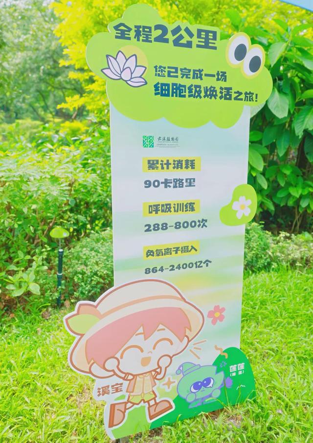 绿美云山丨以森林入药 漫享云山身心疗愈