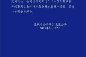 “公园锦鲤大量死亡”！通报来了→图片