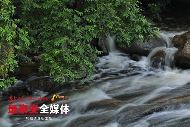 青绿泰山 清凉一夏丨泰山天外村：夏日避暑的宝藏地，清凉景致藏不住