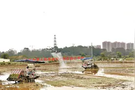 广州种粮补贴最高达1500元/亩·造 将继续加大种粮大户补贴图片