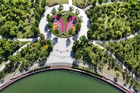惊艳！上海之鱼年丰公园飞来一只“花蝴蝶”图片
