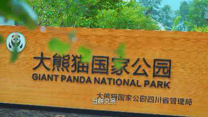 安逸四川 乐游绵阳 ‖ 暑假告急！来安州赴一场收心之旅！