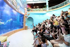 海洋馆鲸鲨是人造的，何不事先说清楚图片