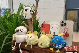 国博文创再上新 喜感“鹳条儿”领衔鸟类“天团”登场图片