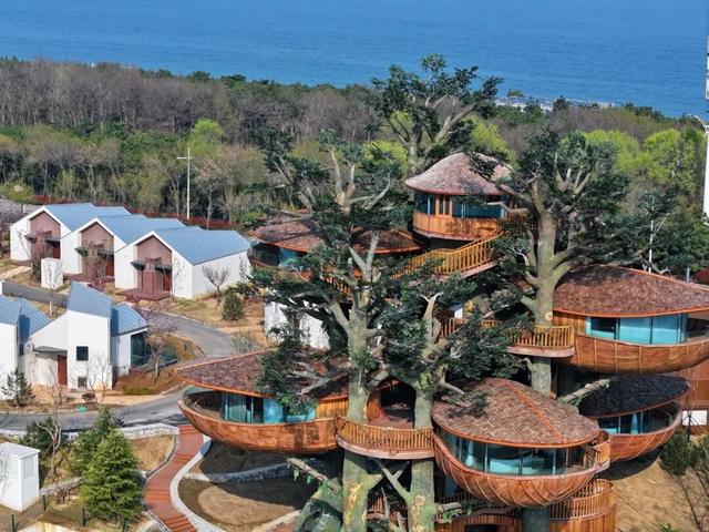 全球榜！中国榜！2026年，必打卡—日照！