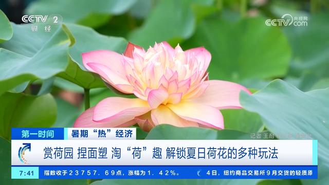 游电影小镇、赏荷品荷、赛马射箭、清凉游……夏日文旅活动丰富多彩各有特色