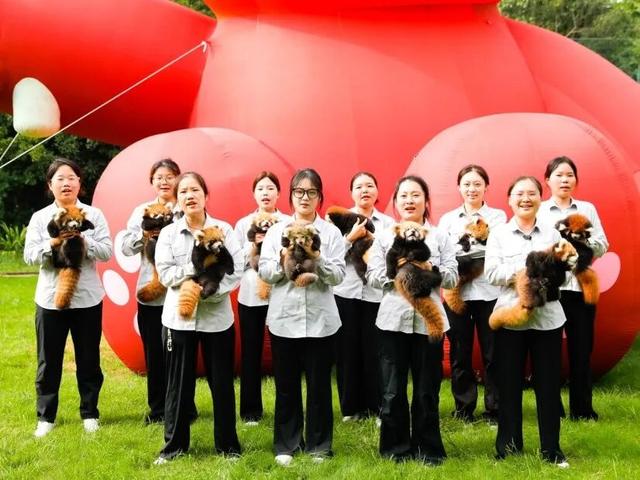 武进红了！火了！爆了！到处都是人人人……