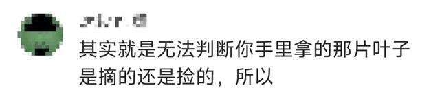 景区禁止游客捡枫叶是小题大做吗