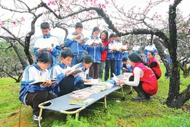 湖南永州：共读桃花林图片
