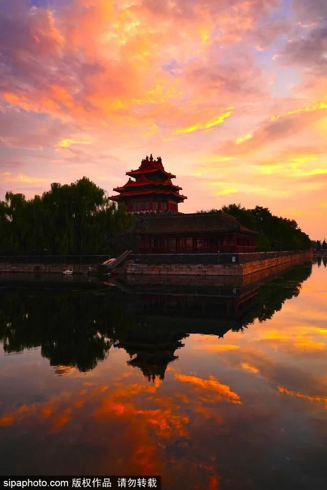 准备拍照！七夕，天边为您烧出限定版“玫瑰海”！