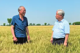 做好最后“冲刺” 夺取夏粮丰收图片