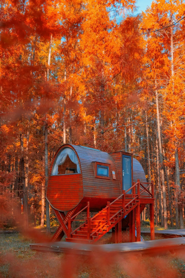 省里又点名了，还是东台