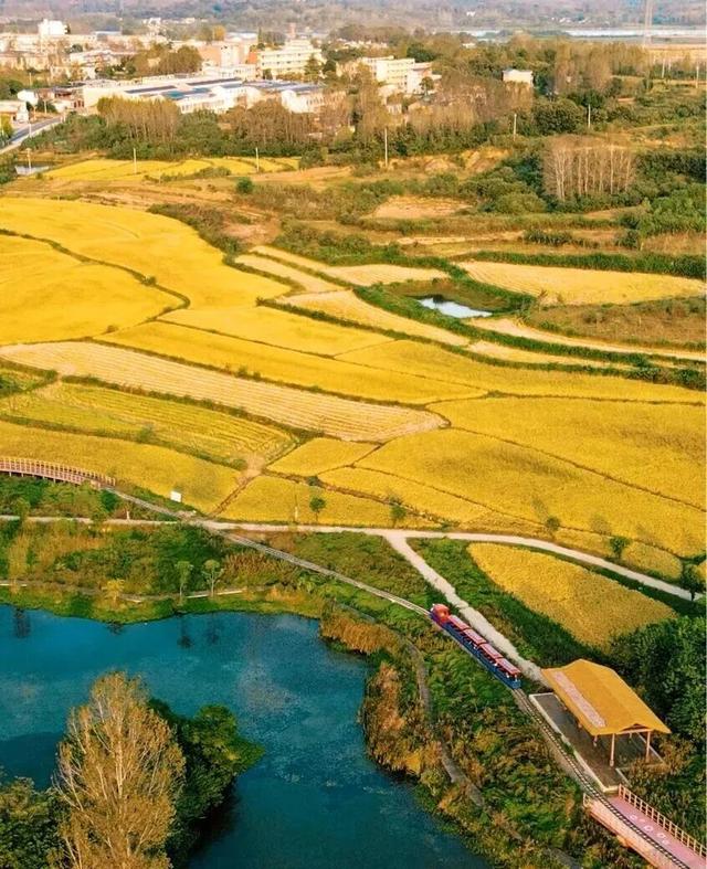 国庆、中秋假日来光山吧！这里的秋日正当时~