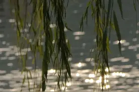 @老师家长，可以这样给孩子讲春天！🤩图片