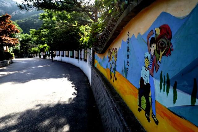 海风开道，秋色伴跑！威海喊你“动起来”~