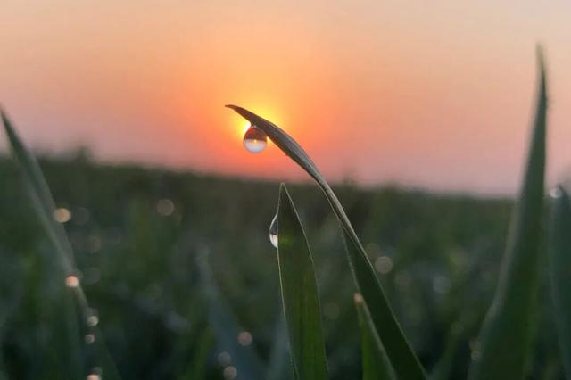 今日立冬 | 鄱湖映霜色，暖食沁人心