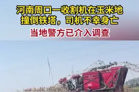 纵览热点丨河南周口一收割机在玉米地撞倒铁塔，司机不幸身亡，当地警方已介入调查图片