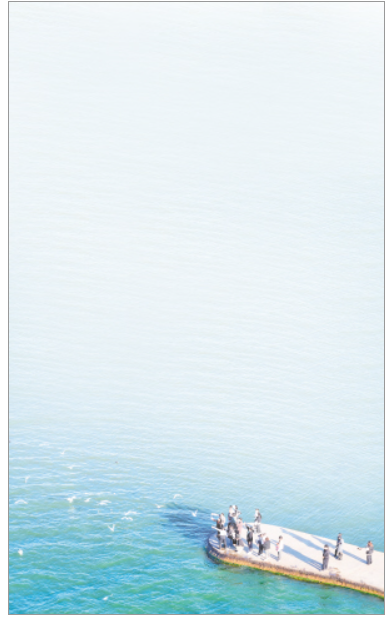 滇岸咖香候鸥来