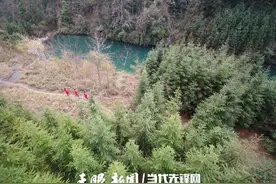 森林的“守护者”——跟着护林员一起去巡山图片