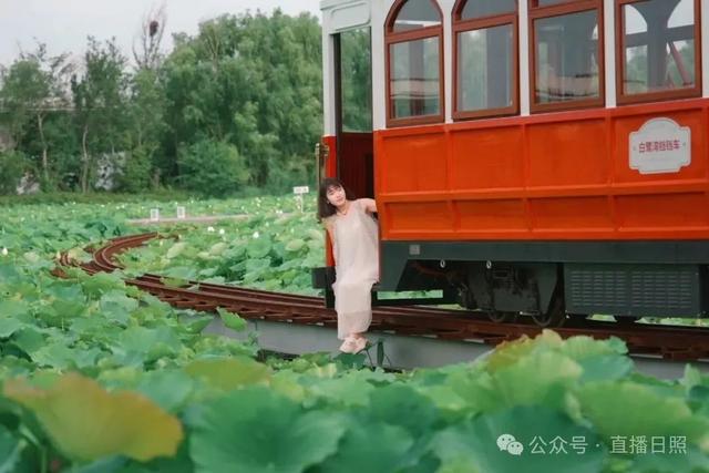 这么近，那么美，周末到_____！