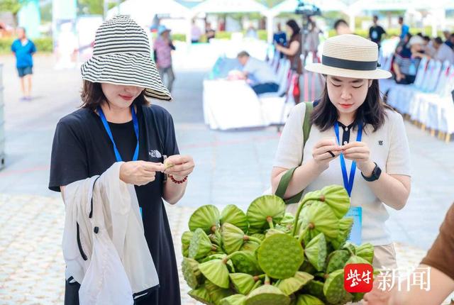 2025“水韵江苏·惠享自驾”活动发车仪式在金湖正式启动