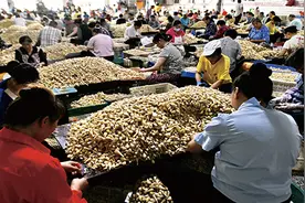 重庆丰都：以特色农产品带动县域经济发展图片