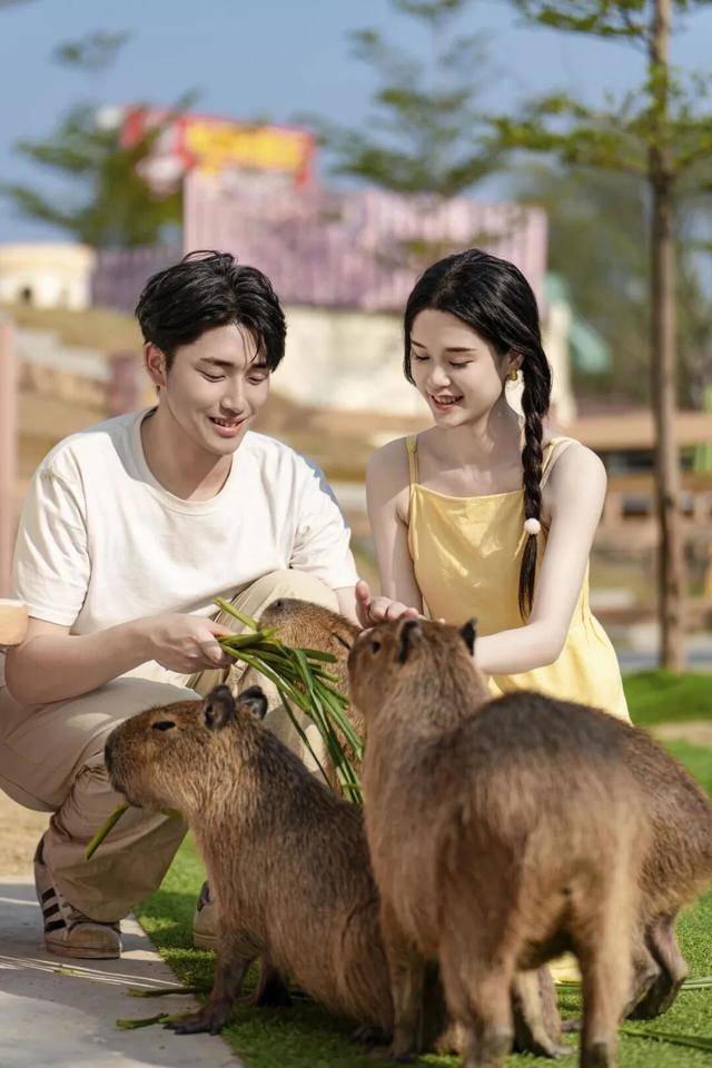 出发！跟着稻马去高明旅行！