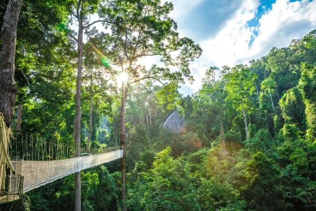 为期1年！西双版纳部分景区对全国公安民警免门票