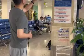 飞机延误 有钱拿？图片