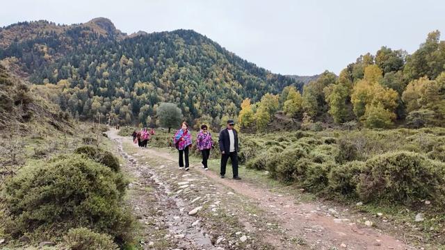 湟中区 举办2025年“群加交响·非遗新声”活动