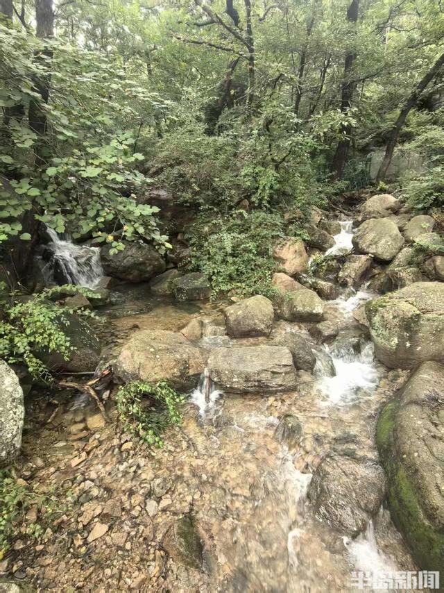 登高望远健身