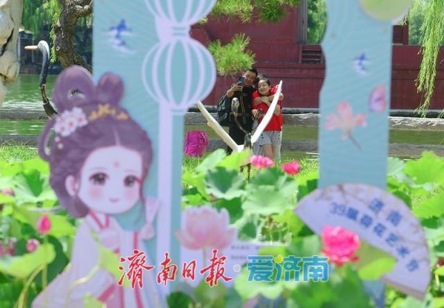 一年四季 泉在济南丨“荷”其有幸相约泉城，济南第39届荷花艺术节开幕了