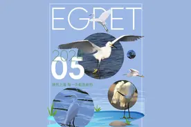 五月都有哪些趣味活动？快戳月历图片